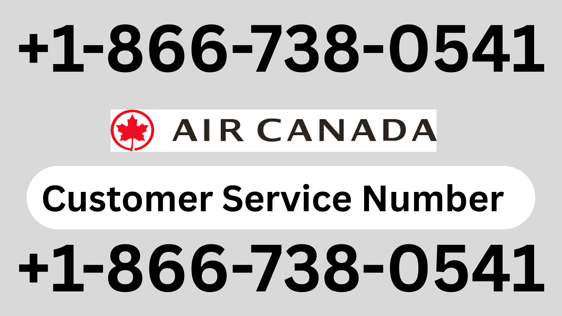 Step by Step 2026 Guide Spirit Airlines Flight Missed Policy Refund Rebooking Rules — Virginia Zoo